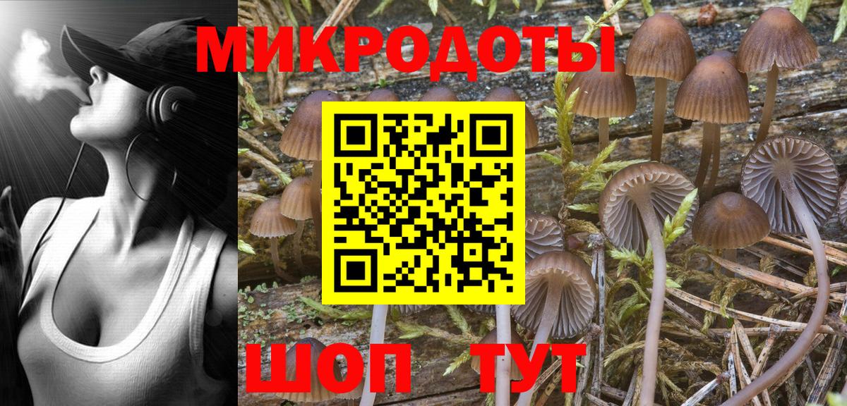 Псилоцибиновые грибы прущие грибы  Галлюциногенные грибы Magic Shrooms  Вход с VPN  Чехов 