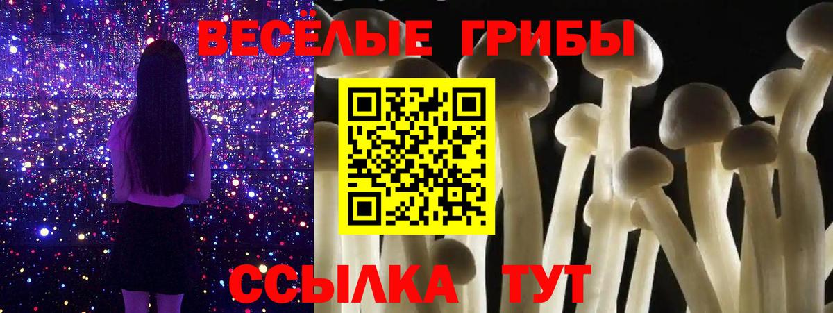 Псилоцибиновые грибы Psilocybine cubensis Чехов